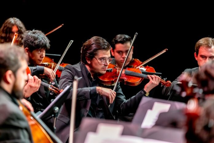Classical musicians intently playing violins in an orchestra performance