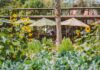 An outdoor restaurant with lots of vegetation in the foreground, including sunflowers. In the background, one can see waitstaff in black aprons and white shirts at work.
