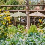 An outdoor restaurant with lots of vegetation in the foreground, including sunflowers. In the background, one can see waitstaff in black aprons and white shirts at work.
