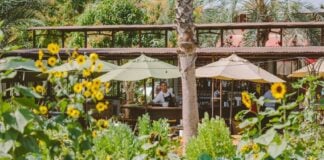 An outdoor restaurant with lots of vegetation in the foreground, including sunflowers. In the background, one can see waitstaff in black aprons and white shirts at work.