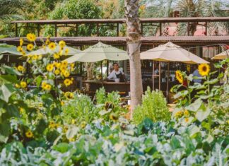 An outdoor restaurant with lots of vegetation in the foreground, including sunflowers. In the background, one can see waitstaff in black aprons and white shirts at work.