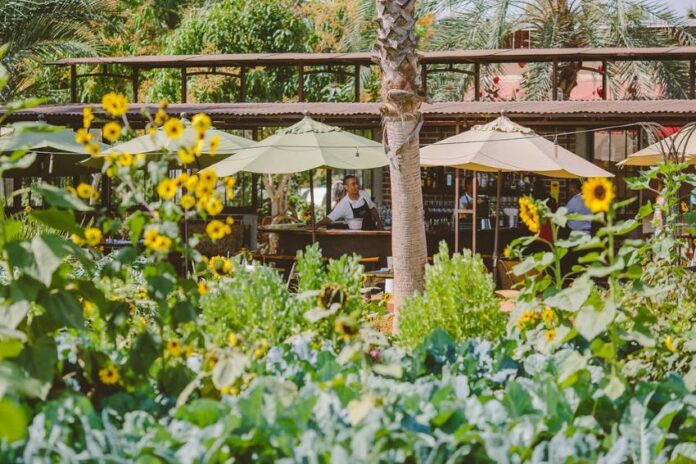 An outdoor restaurant with lots of vegetation in the foreground, including sunflowers. In the background, one can see waitstaff in black aprons and white shirts at work.