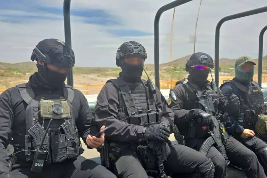 Is ICE leading anti-narcotics operations in Sinaloa?