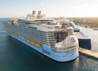Docked cruise ship