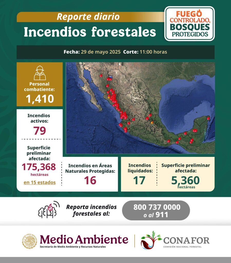Map and graphic showing active forest fires in Mexico.