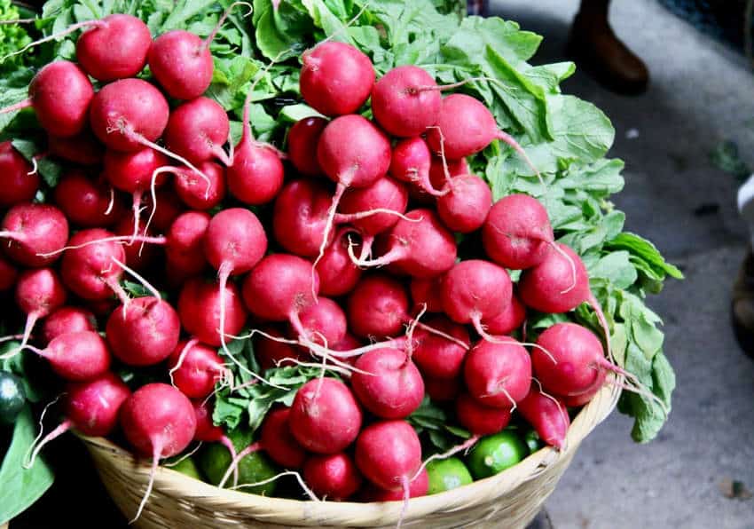 A large bunch of radishes in a basket