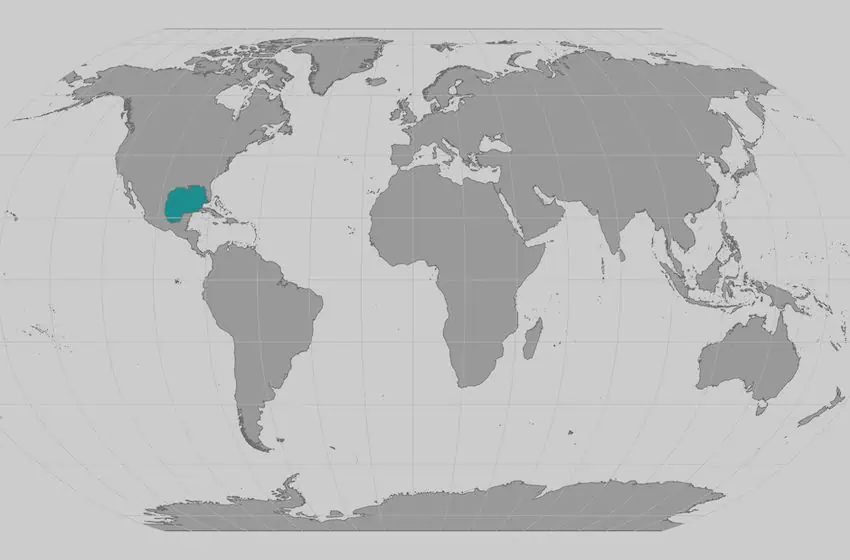 The Rice's whale's habitat is limited to the Gulf of Mexico