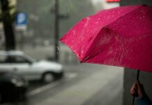red umbrella in the rain