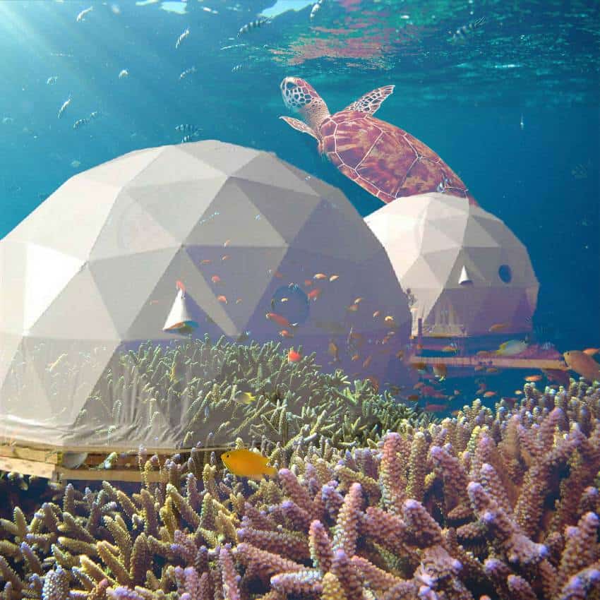 Illustration of white geodesic domes in the ocean and marine life swimming among them