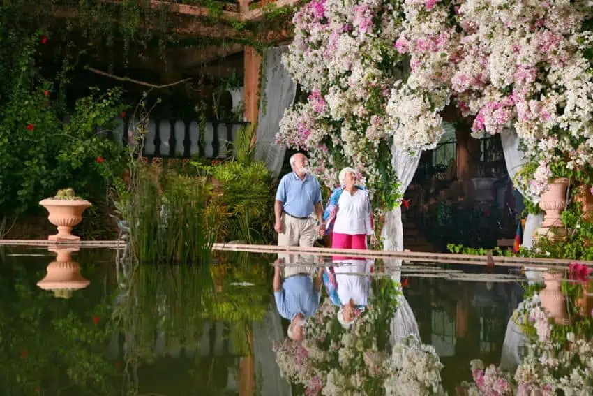 An elderly couple walking hand in hand in a botanical garden with a large fountain in the foreground.