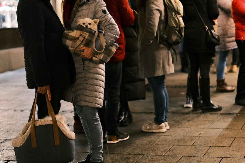 Lower body shot of people standing in line on the street. One person holds a dog