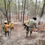 Firefighters battle a forest fire in Sinaloa.