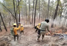 Firefighters battle a forest fire in Sinaloa.