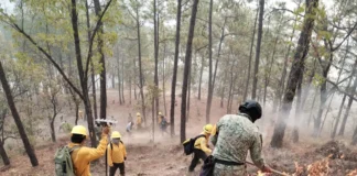 Firefighters battle a forest fire in Sinaloa.