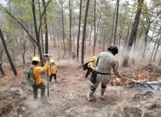 Firefighters battle a forest fire in Sinaloa.