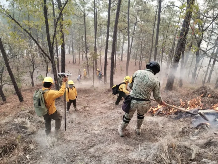 Firefighters battle a forest fire in Sinaloa.