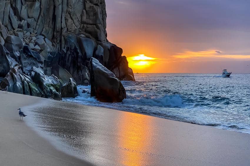 Los Cabos beach at sunset