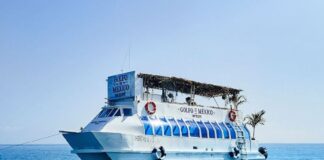 Tecate Gulf of Mexico Bar