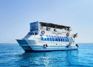 Tecate Gulf of Mexico Bar