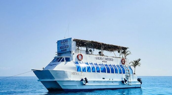 Tecate Gulf of Mexico Bar