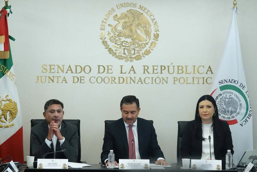 Bank of Mexico Governor Victoria Rodriguez at a Senate hearing