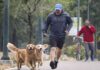 A man in Mexico City in shorts, a GAP sweatshirt and a baseball cap jogs through a tree-lined park with two purebred Golden Retrievers on leashes. Behind him in the distance is a man walking a ten-speed bike while talking on his phone.