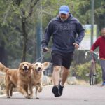 A man in Mexico City in shorts, a GAP sweatshirt and a baseball cap jogs through a tree-lined park with two purebred Golden Retrievers on leashes. Behind him in the distance is a man walking a ten-speed bike while talking on his phone.
