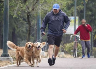 A man in Mexico City in shorts, a GAP sweatshirt and a baseball cap jogs through a tree-lined park with two purebred Golden Retrievers on leashes. Behind him in the distance is a man walking a ten-speed bike while talking on his phone.