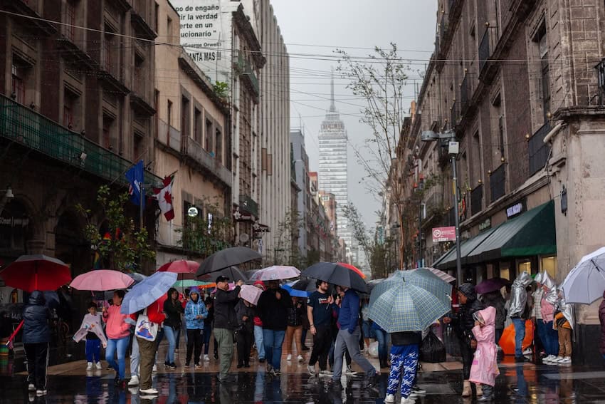 umbrellas in the city