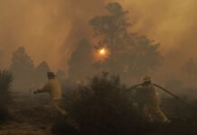 Tecate forest fires in Baja California