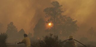 Tecate forest fires in Baja California