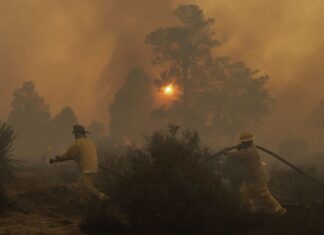 Tecate forest fires in Baja California