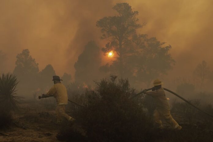 Tecate forest fires in Baja California