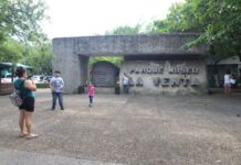The Tomás Garrido Park is an extension of the La Venta Museum-Park, one of the few open-air museums in Latin America, and features over 30 Olmec heads.