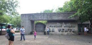 The Tomás Garrido Park is an extension of the La Venta Museum-Park, one of the few open-air museums in Latin America, and features over 30 Olmec heads.