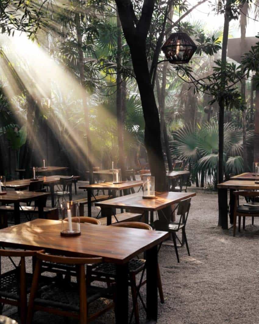 An outdoor dining area with high-end but casual wooden tables, each with a lit white candle in a clear glass container. The dining area is surrounded with tall tropical trees that extend out of the top of the photo frame.