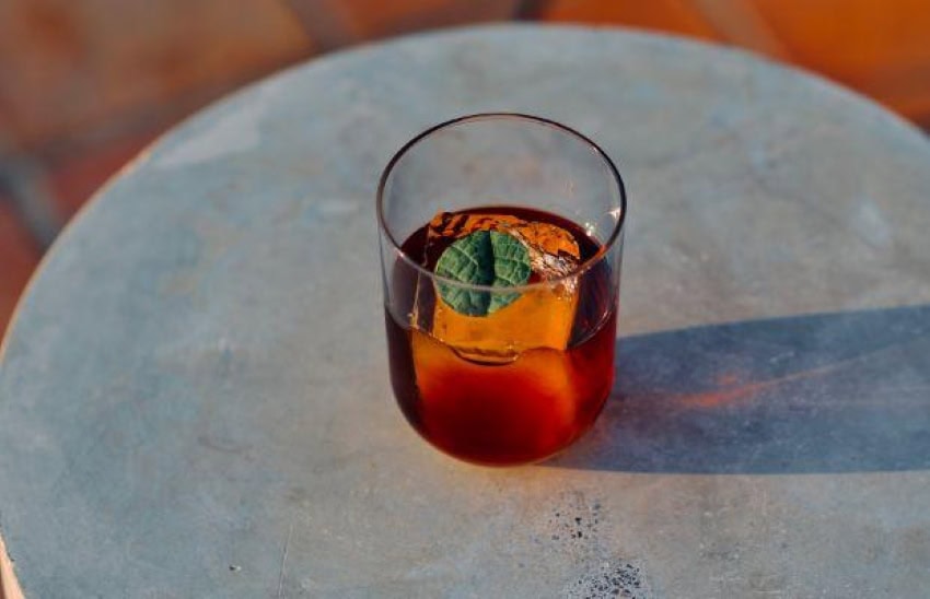 A highball cocktail glass with an amber liquid that appears to be bourbon or whiskey. It is garnished with an oval green leaf.