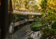 Carriages of Mexico's El Chepe train riding through the Copper Canyon.