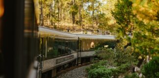 Carriages of Mexico's El Chepe train riding through the Copper Canyon.