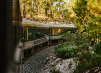 Carriages of Mexico's El Chepe train riding through the Copper Canyon.