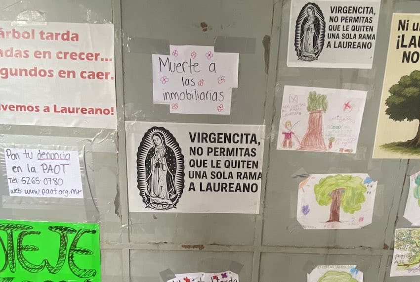 Drawings and signage in support of "Laureano" surround the construction area in the neighborhood of Tlacoquemecatl, Mexico City.