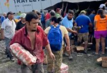 crowd carrying away beer cartons