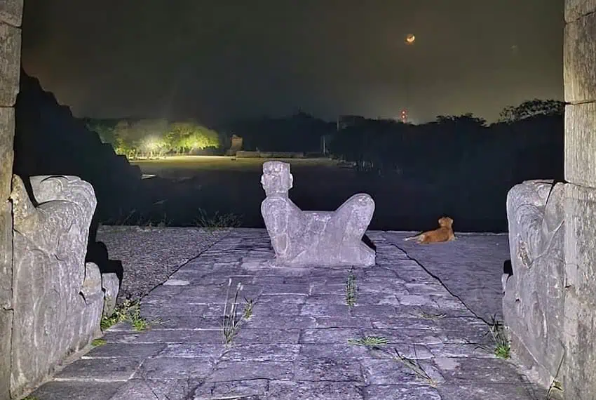 Osita is seen contemplating the night sky over Chichén Itzá in a recent photograph taken by night watchman José Keb.