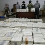 A historic weekend of drug busts started on Friday, when Mexican customs officials at the border with Guatemala intercepted a tractor-trailer carrying 1.193 tonnes of cocaine concealed within its cargo.