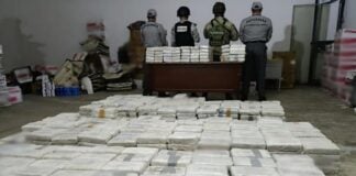 A historic weekend of drug busts started on Friday, when Mexican customs officials at the border with Guatemala intercepted a tractor-trailer carrying 1.193 tonnes of cocaine concealed within its cargo.