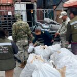 Navy and Profepa authorities inspect bags of dried shark fins in Ensenada, Baja California