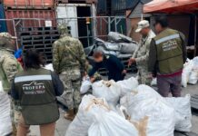 Navy and Profepa authorities inspect bags of dried shark fins in Ensenada, Baja California