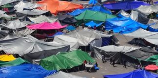 Multicolored tents in the Zócalo