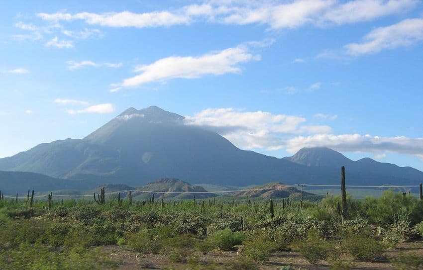 Tres Virgenes volcanos in background, grassy plain in foreground