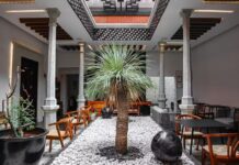 Inner courtyard in hotel with open skylight and palm growing in center of room